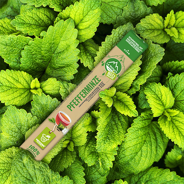 Pfefferminze Tee Kapslen mit Pfefferminze Tee Blättern